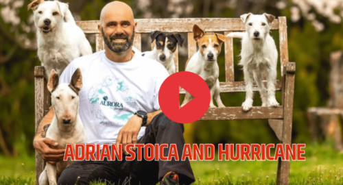 ADRIAN STOICA AND HURRICANE BIOGRAPHY