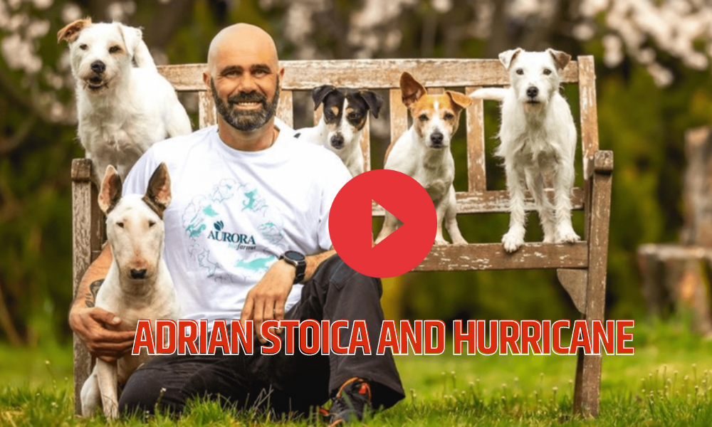 ADRIAN STOICA AND HURRICANE BIOGRAPHY